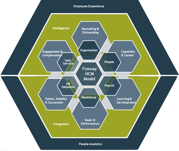 HR Software Ecosystem