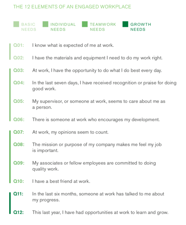 Gallup 12 Elements Engaged Workforce