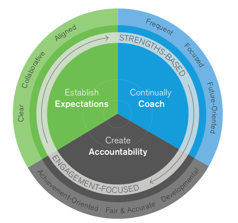 Gallup Performance Development process