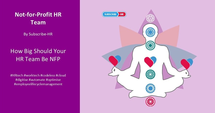 Not for Profit HR Team Size
