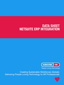 data-sheet-netsuite-erp-integration
