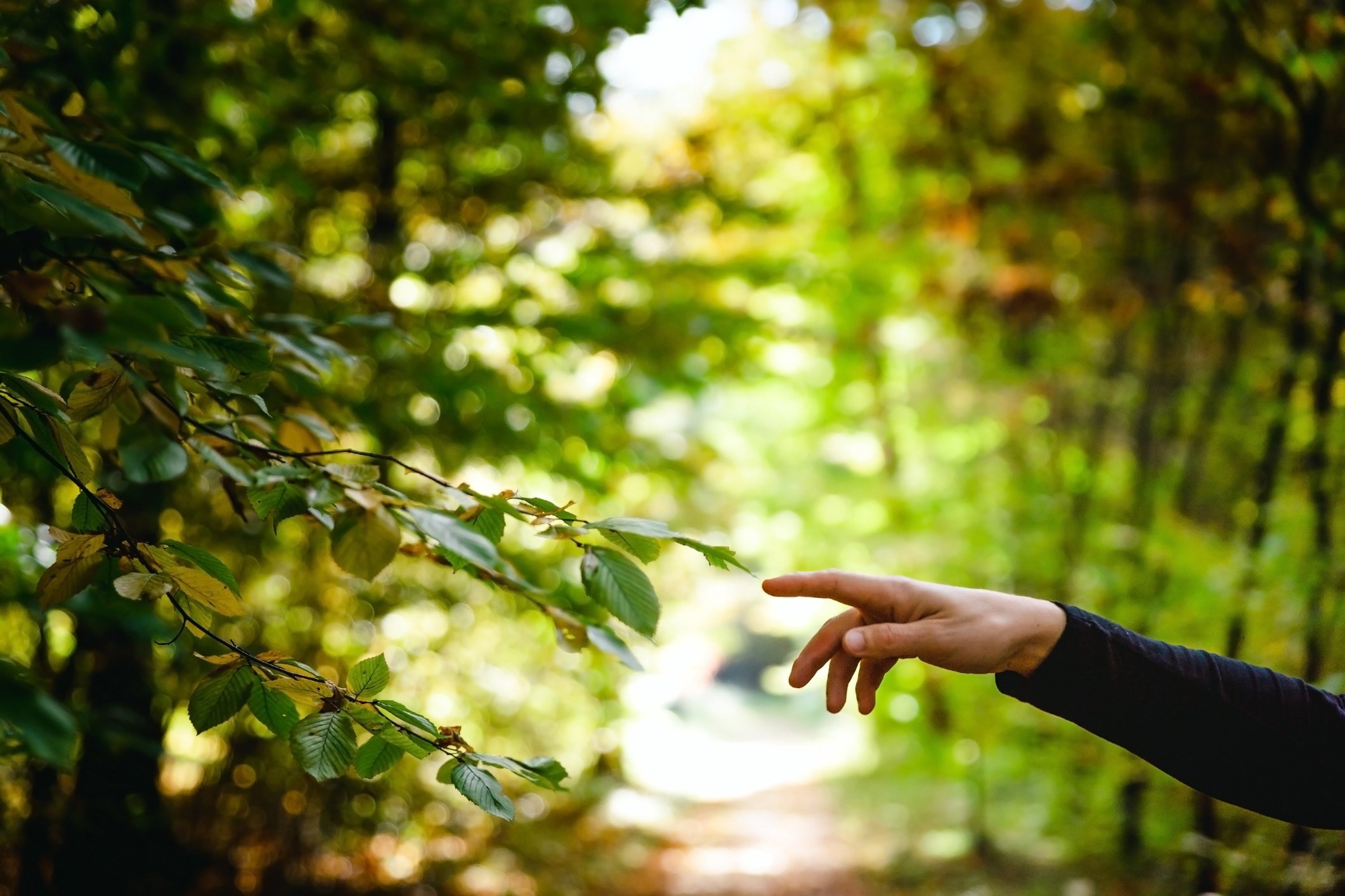 Onboarding and Hiring Manual Processes