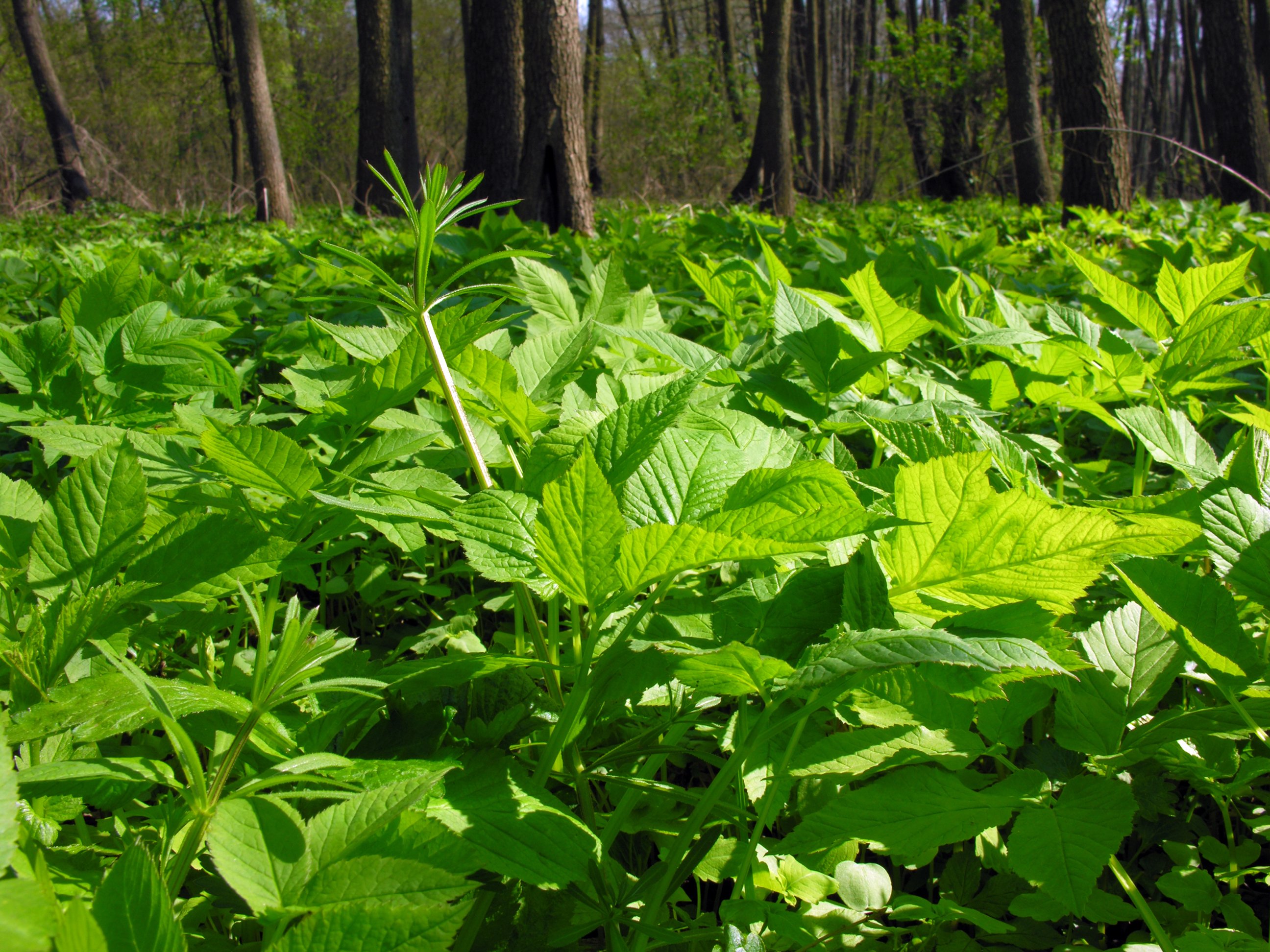 Positive HR Environment