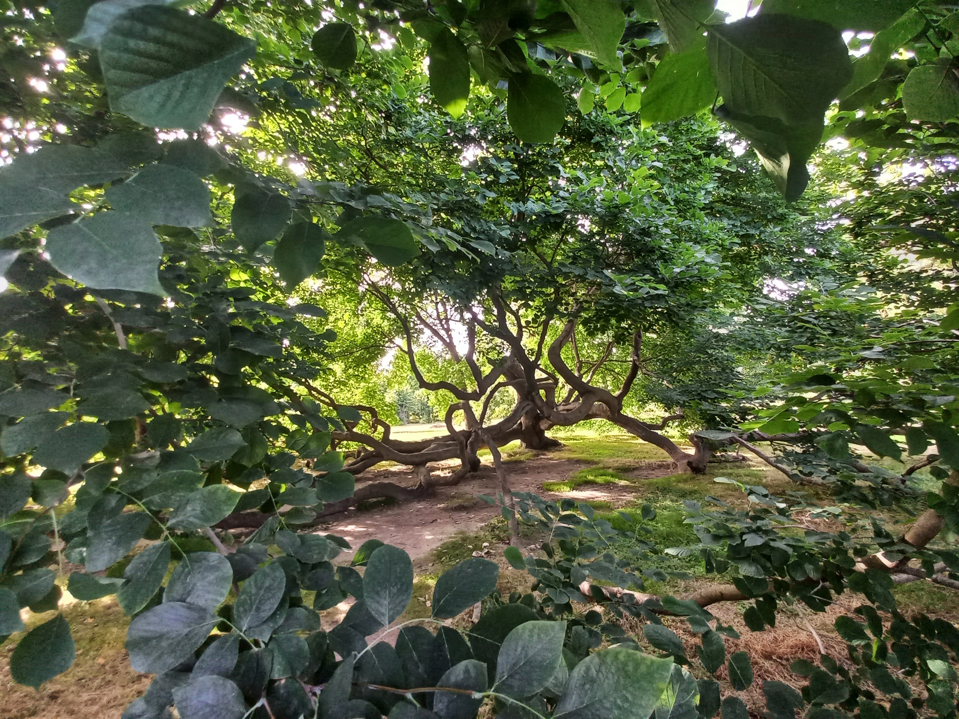 Positive HR Environment