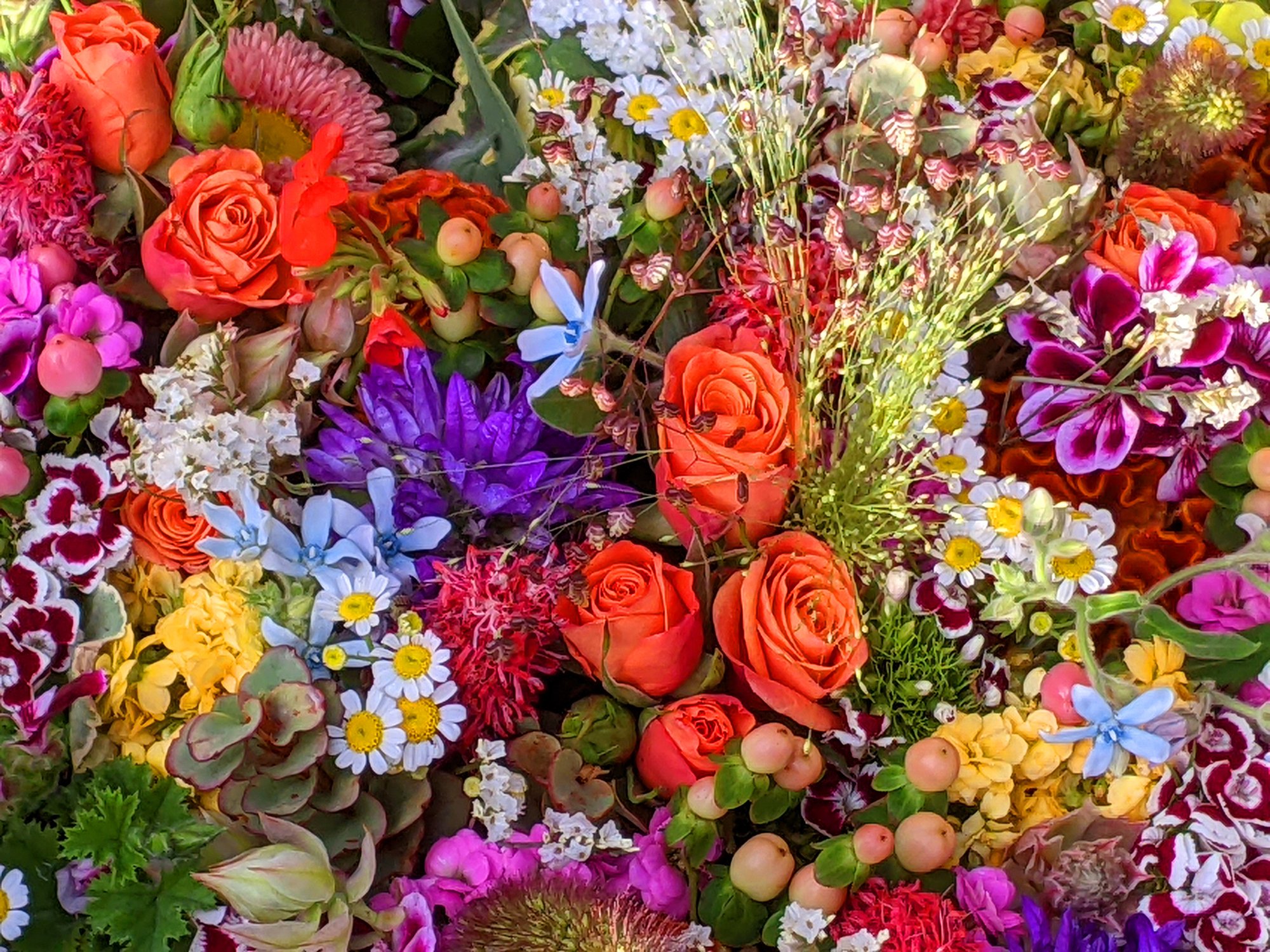 DEI Australa and New Zealand