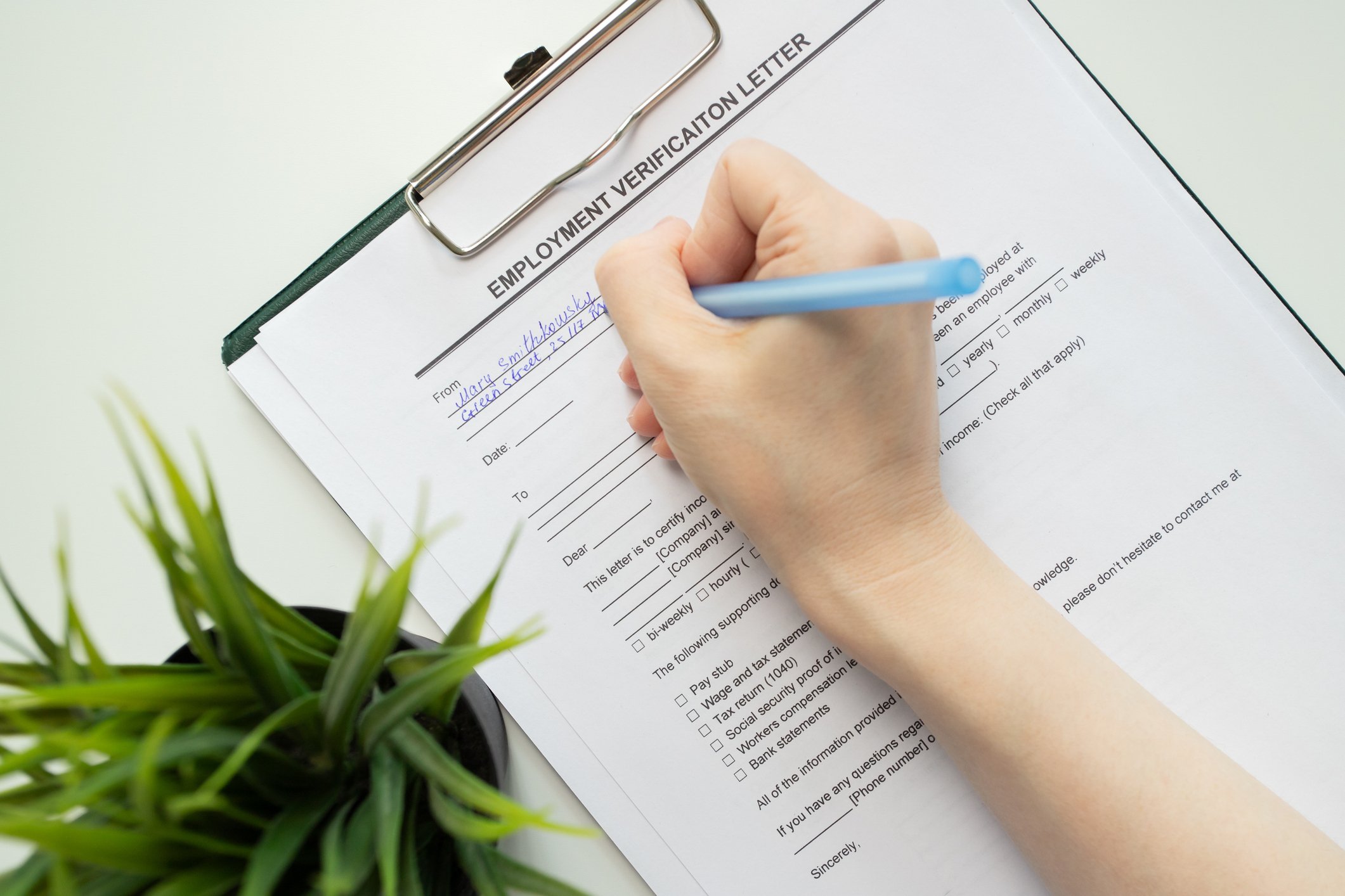 Employment Verification Letter Template