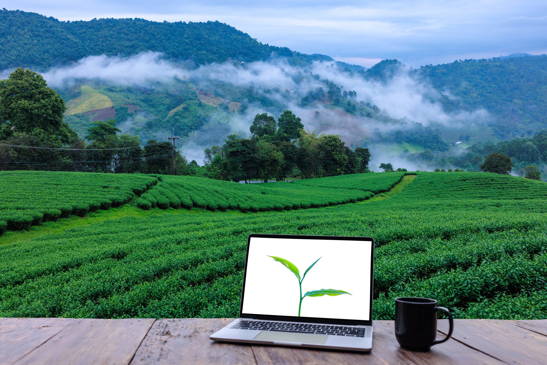 Payroll Integration Australia New Zealand