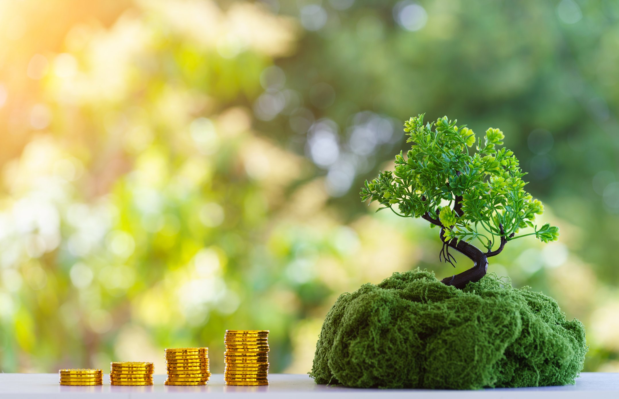 Criminal Underpayment Law Australia