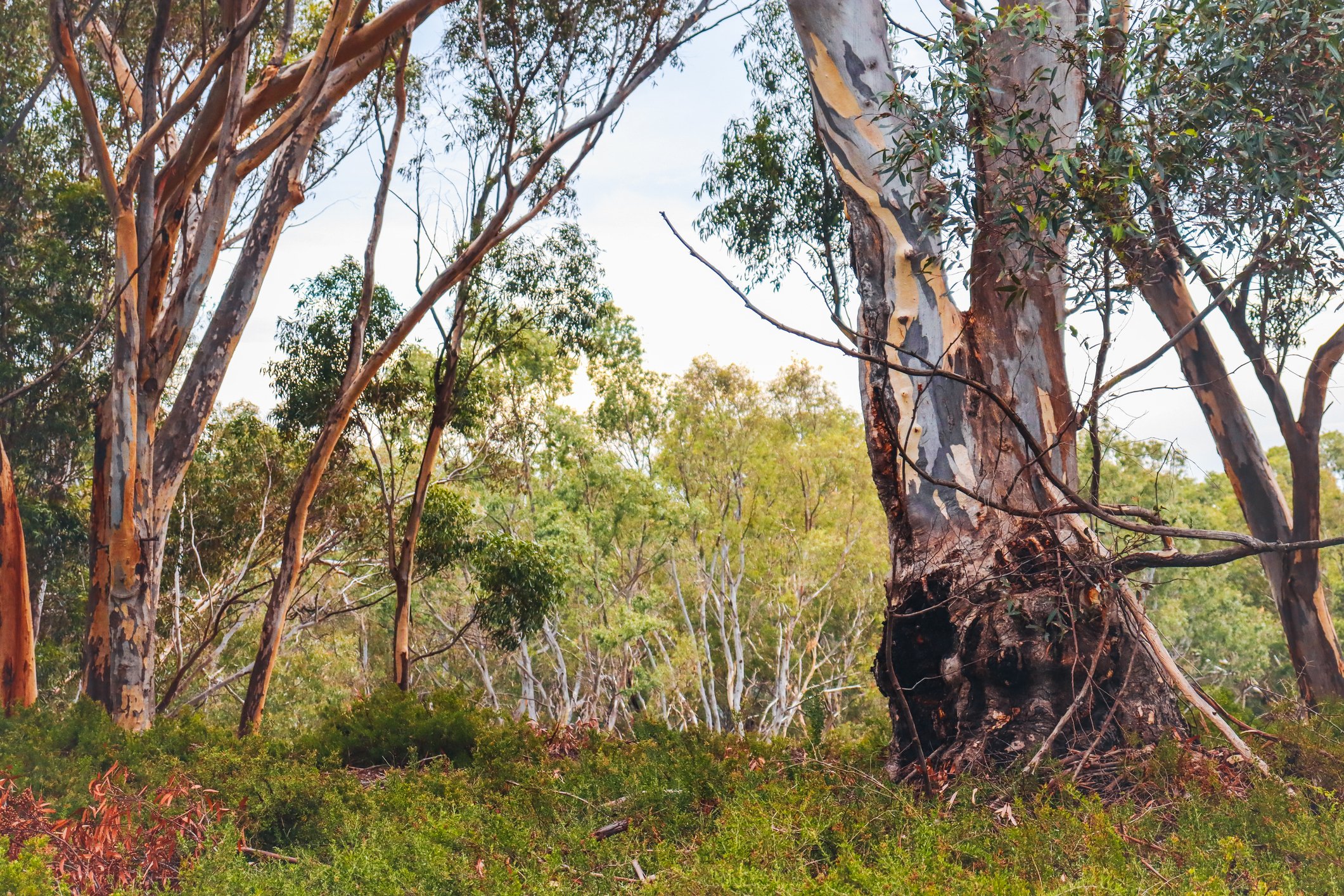 Australian Modern Awards HR