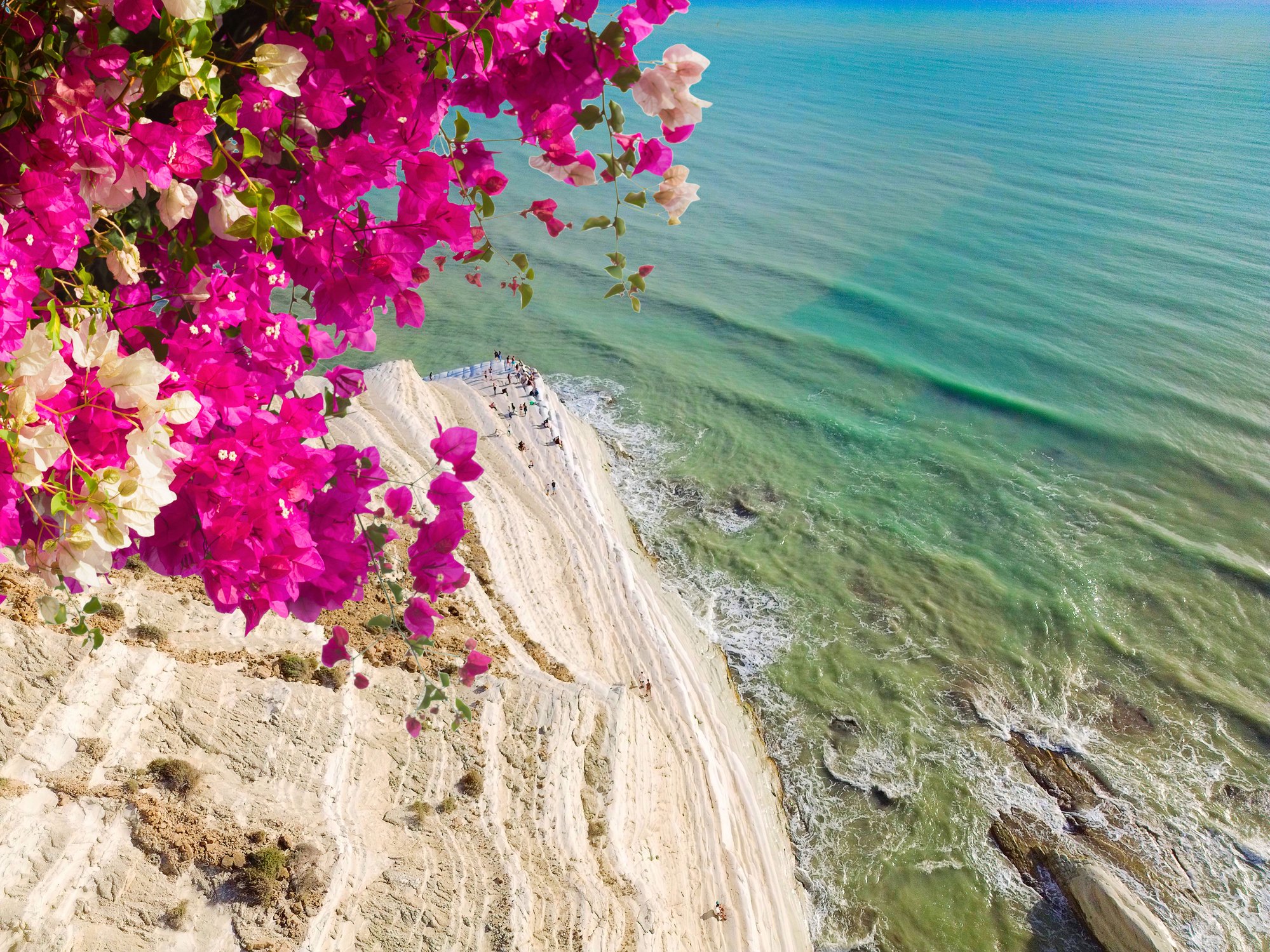 DEI Australia and New Zealand