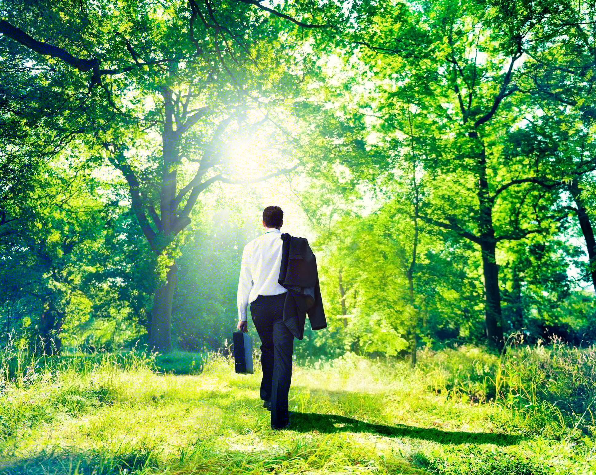 ANZ Workforce Trends