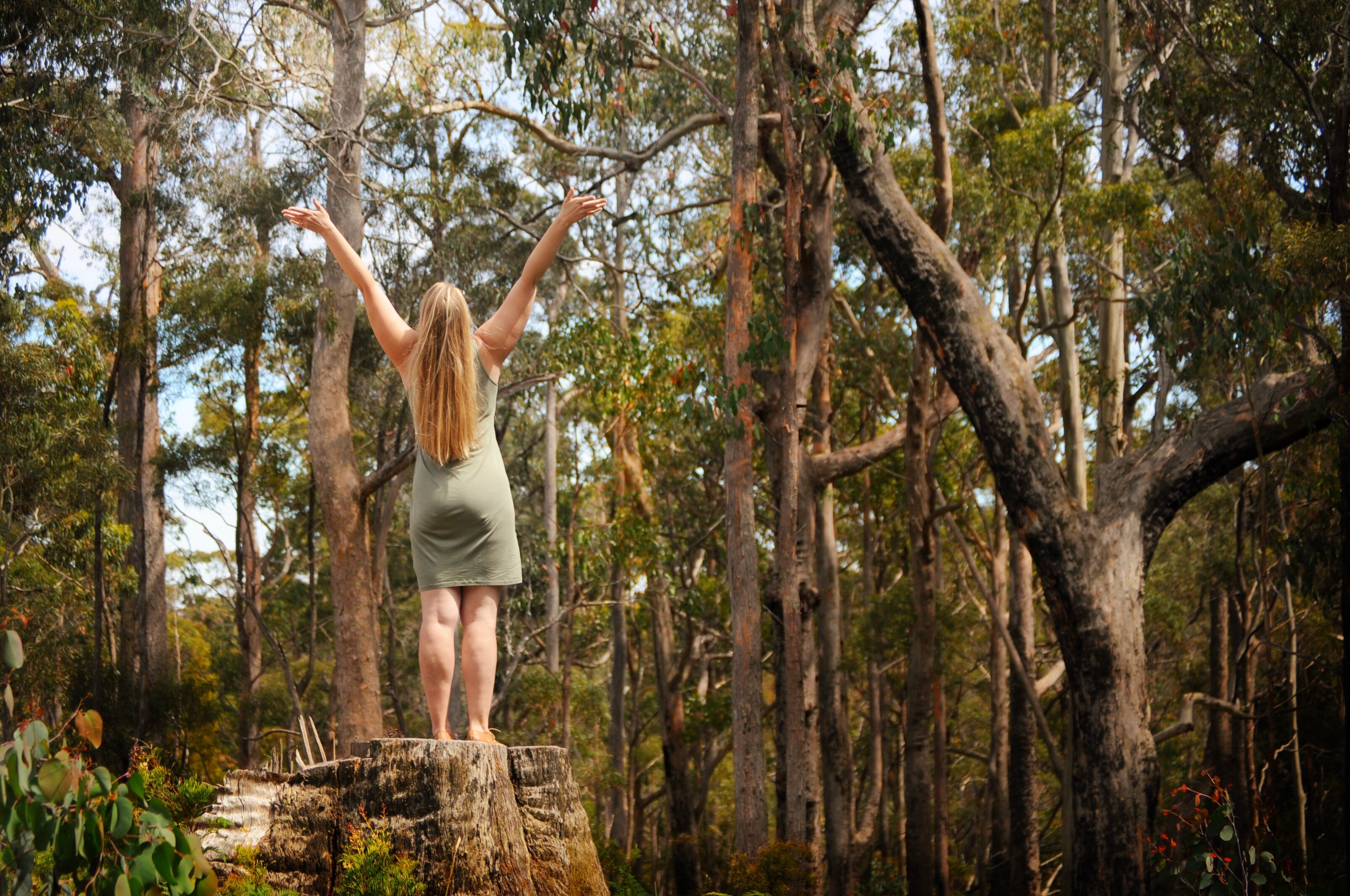 Australian Modern Awards HR