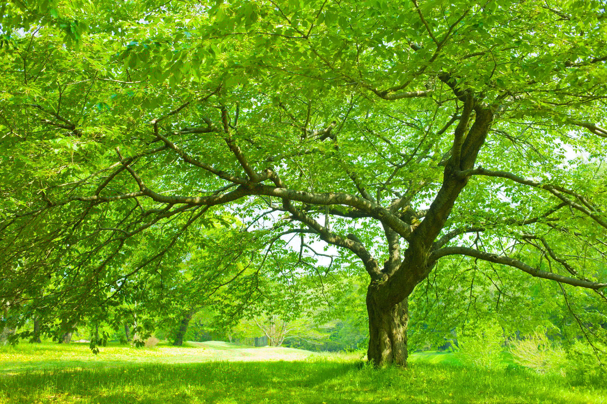 Positive HR Environment